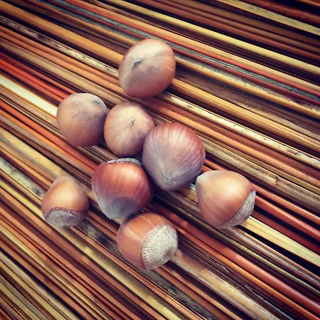 Vitina's Little House Vitina