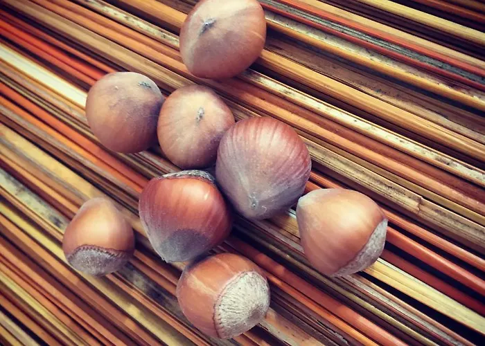 Vitina's Little House Vytina